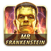 MR FRANKENSTEIN